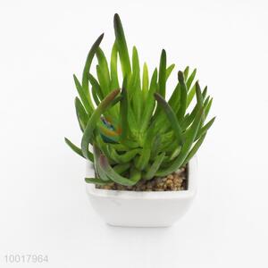 Artificial/Simulation Potted of Finger Citron