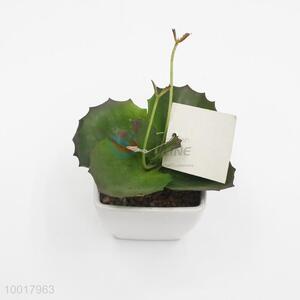 Mini Plastic Table Small Plant Pots/Artificial/Simulation Potted