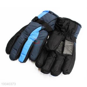 Blue Warm Gloves/Ski Gloves/Winter Gloves