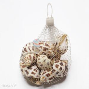 China Supplier High Quality Natural Sea Shells