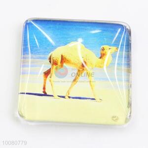 High quality glass fridge magnet for wholesale