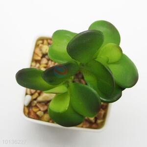 Wholesale Artificial Green Succulent Plants for Home Decoration