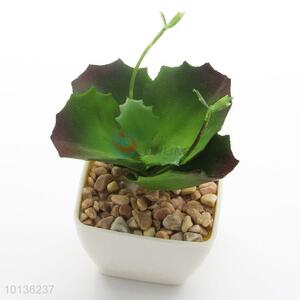 Cheap Artificial Flowers Mini Succulent Plant