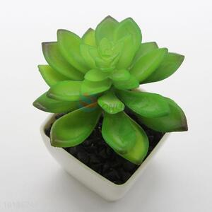 Lovely Artificial Succulent Plants Home Decoration