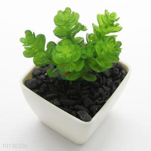 Permanent Green Plant Artificial Succulent Plants