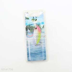 Cute minnow fishing bait with fishhook