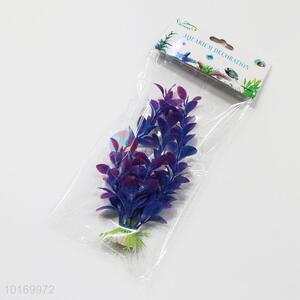 Brussels Aquatic Plant for Aquarium Aquatic Decorate Plants