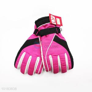 Factory Wholesale Warm Gloves Ski Gloves