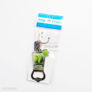 Newly product best useful key chain with opener