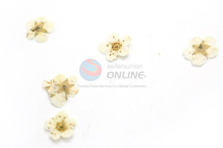 Best Quality Nail Art Accessories Dried Flowers For Make Up