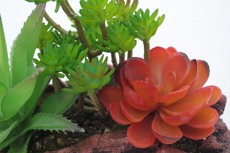 Latest Arrival Plastic Succulent Plant Ornamental Plants