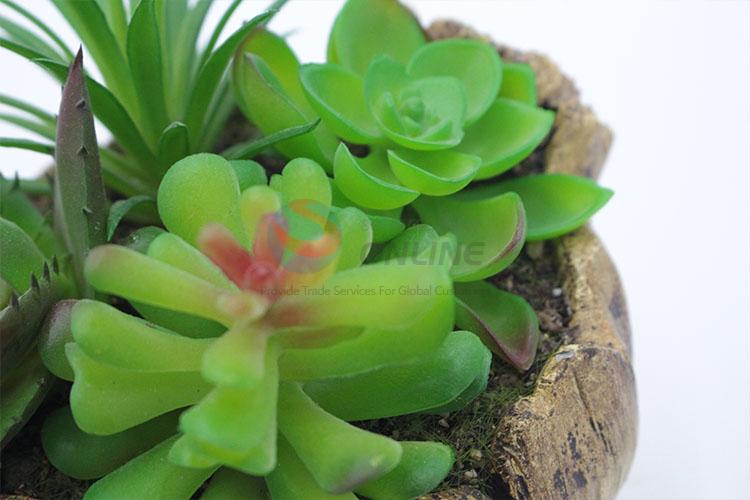 Lovely stump modelling flowerpot succulent plant