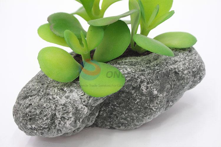 Fancy cheap top sale simulation succulent plants