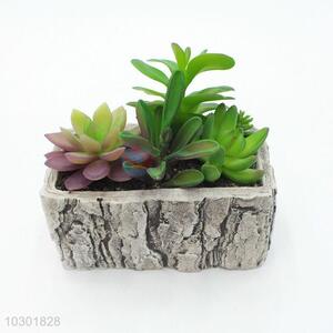 Top selling simulation succulent plants