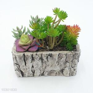 Nice classic cheap simulation succulent plants