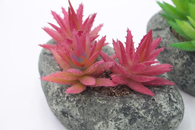 Top quality new style simulation succulent plants