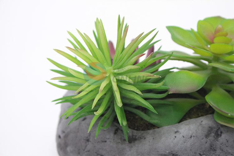 Promotional simulation succulent plants