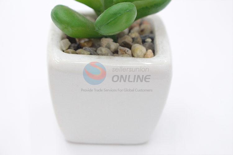 Cheap Price Mini Plastic Succulent Plant Ornamental Plants