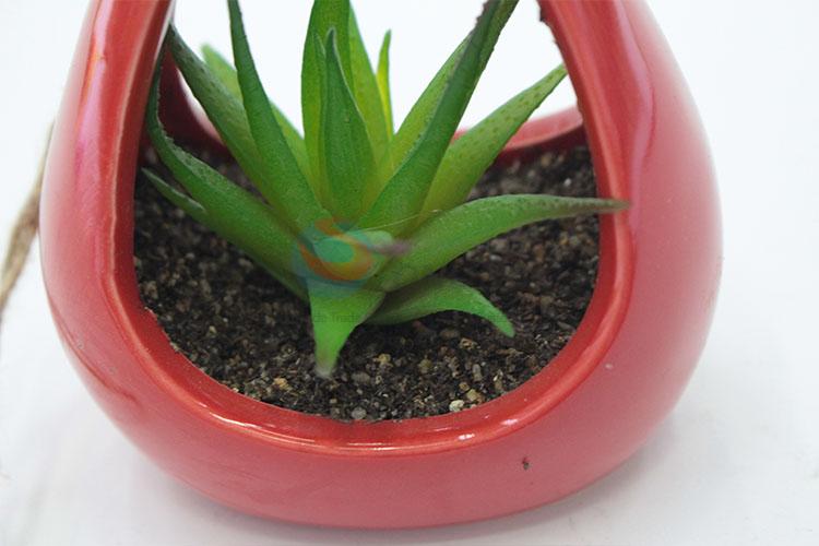 Recent Design Suspensible simulation succulent plants