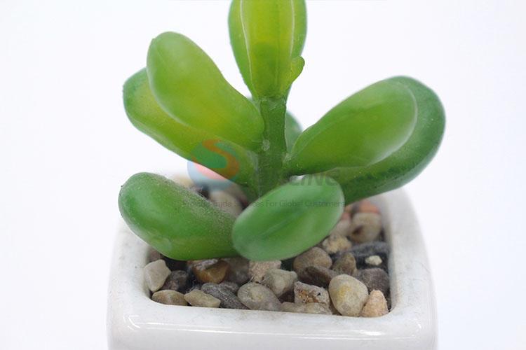 Cheap Price Mini Plastic Succulent Plant Ornamental Plants