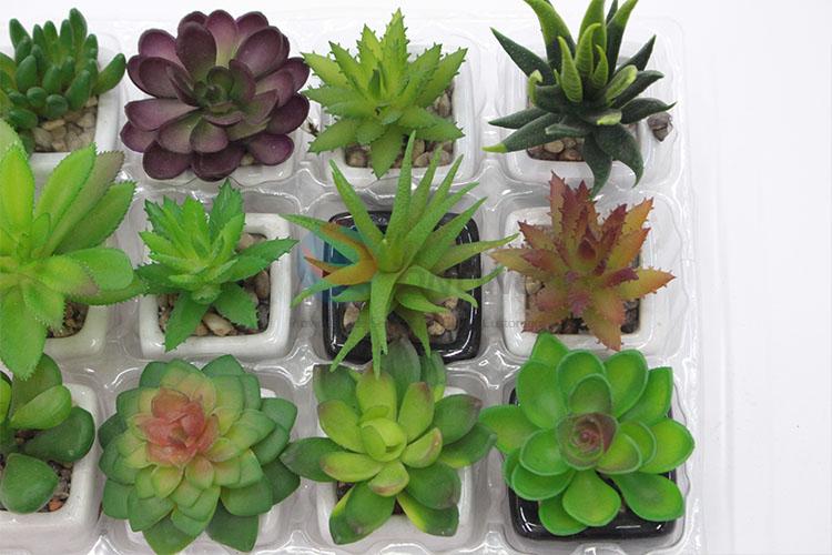 Cheap Price Mini Plastic Succulent Plant Ornamental Plants