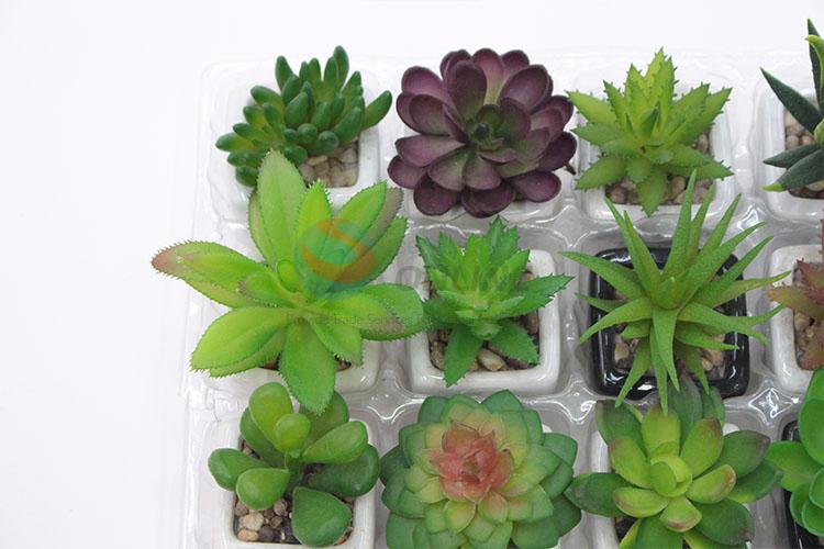 Cheap Price Mini Plastic Succulent Plant Ornamental Plants