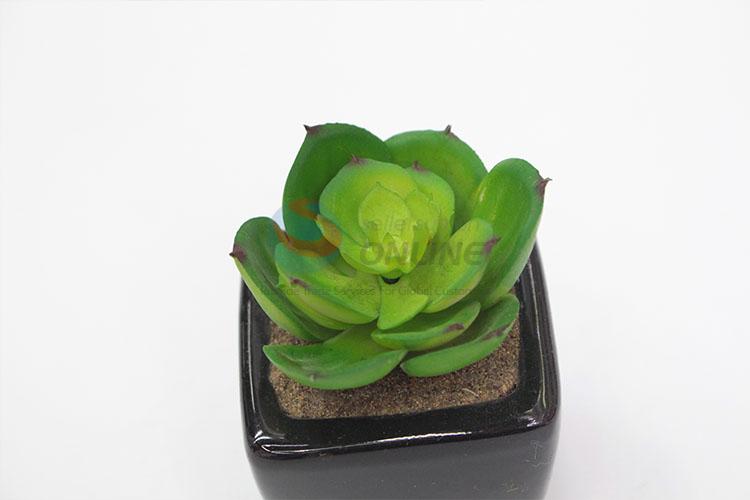 Made In China Wholesale Artificial Succulent Plants Home Decoration