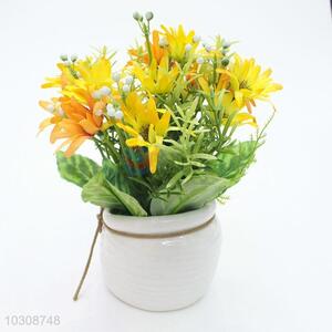 Promotional Artificial Green Plant for Home Decoration