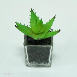 Wholesale Decorative Indoor Artificial Plants