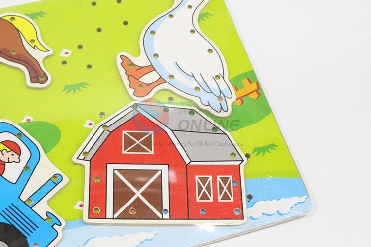 Pasture Threading Wooden Puzzles Set