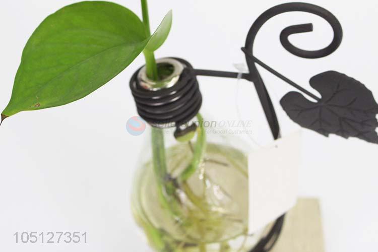 Simple Style Transparent Hydroponic Containers Home Decor Ornament Plant Vase