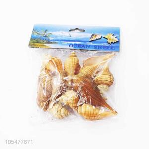 Good Quality Ocean Shell Natural Shell Craft Set