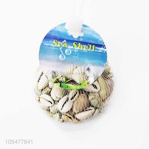 Newest Natural Sea Shell Fashion Shell/Conch Crafts Set