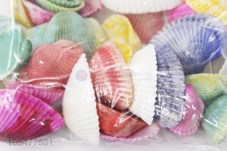 New Design Colorful Ocean Shell Best Craft Set