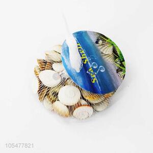 Hot Selling Natural Shell Best Shell Craft Set