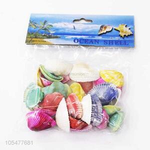 New Design Colorful Ocean Shell Best Craft Set