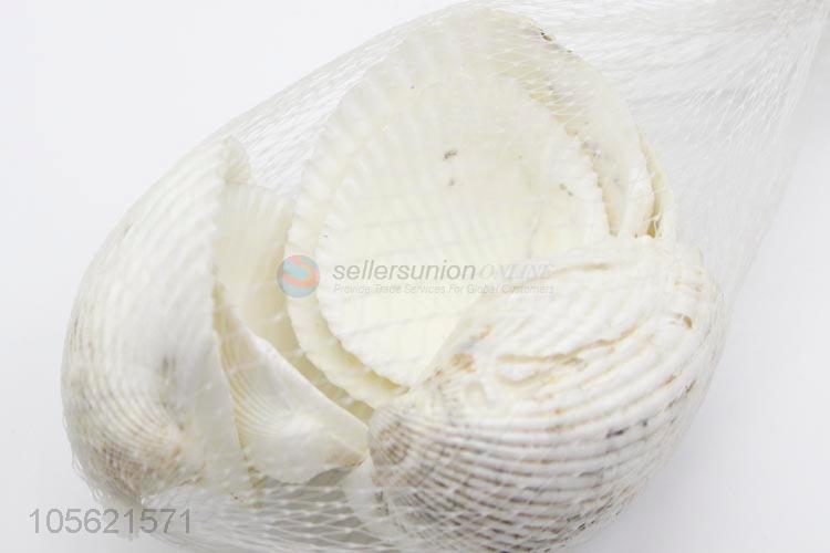 Top Sale Seashells Decorations Scallop Shells Crafts Decor Ornament