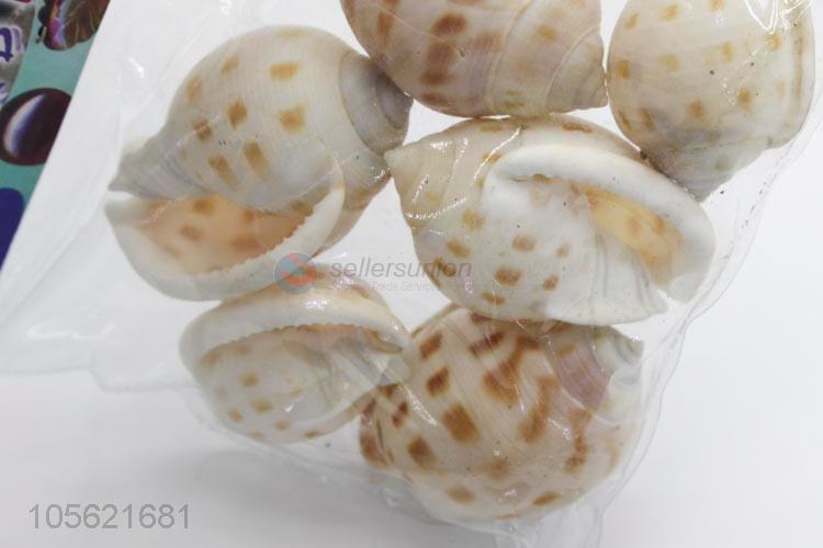 Delicate Design Marine Wedding Decor Shells Craft