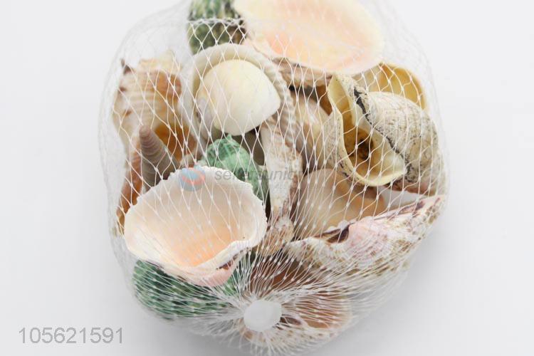 Wholesale Unique Design Home Decor Natural Sea Beach Shell Crafts