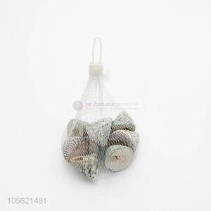 Direct Price DIY Crafts Supplies Mediterranean Shell Conch