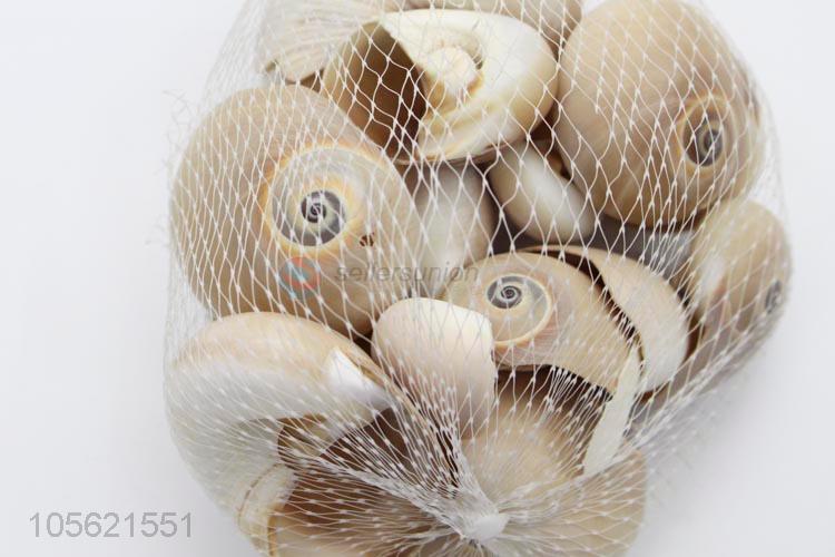 Top Selling Beach Mixed Shells Natural Shells Craft Aquarium Decoration