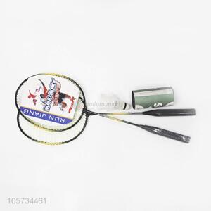 Best Price Training <em>Badminton</em> Rackets with 2pcs Ball