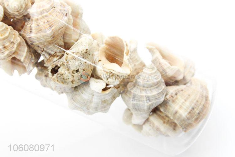 Low price ocean craft sea shells