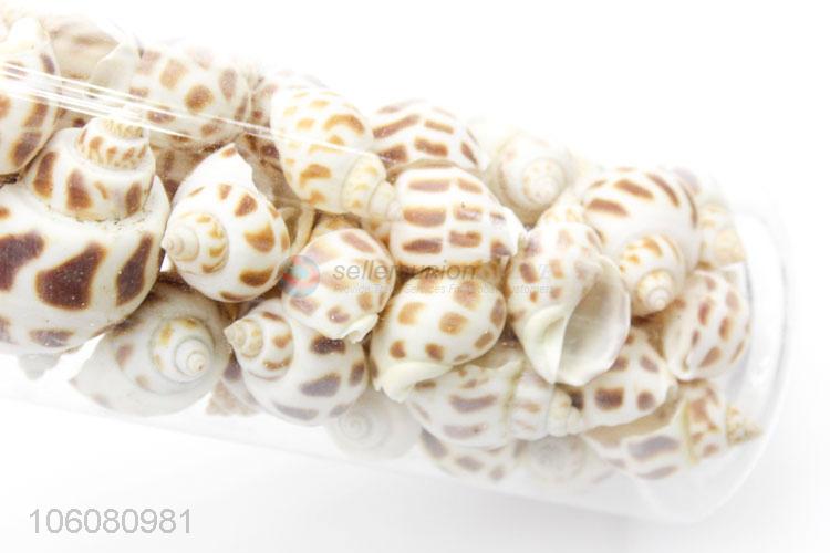 Hot selling natural sea shells for necklace pendant craft making