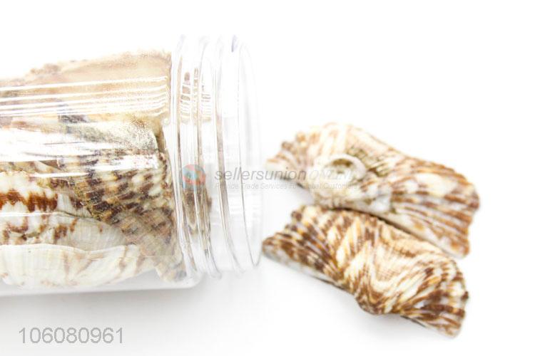 Chinese factories decorative natural crushed sea shell