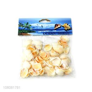 Cheap price natural sea shell beautiful shell craft set