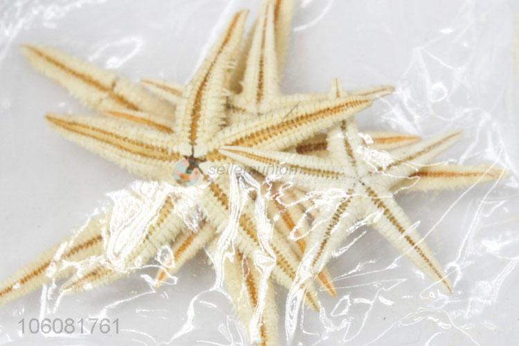 New products natural colorful shells starfish sea decoration
