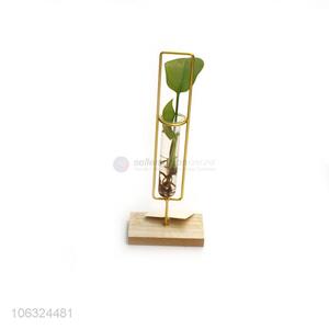 Wholesale Creative Home Decoration Hydroponic Plant Vase