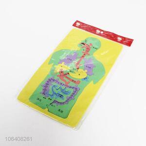 Wholesale Educational Human Body EVA Puzzle