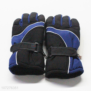 Premium Quality Windproof Waterproof Winter Outdoor Sports Adult Ski Gloves